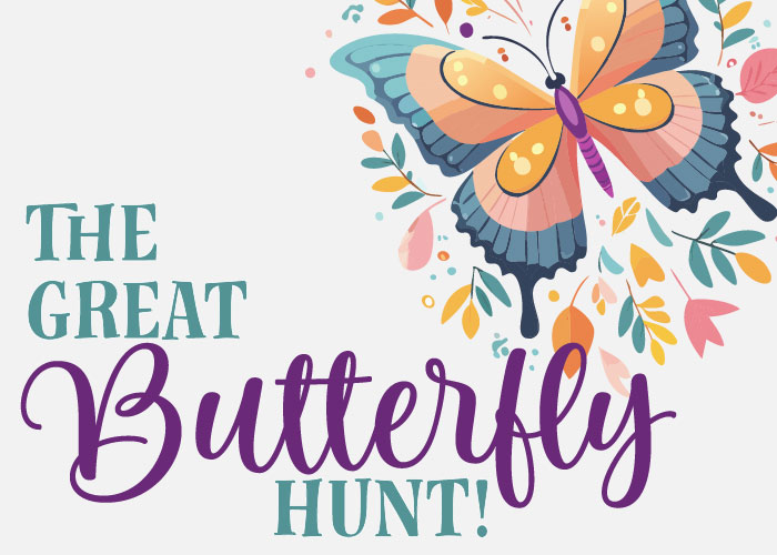 The Great Butterfly Hunt